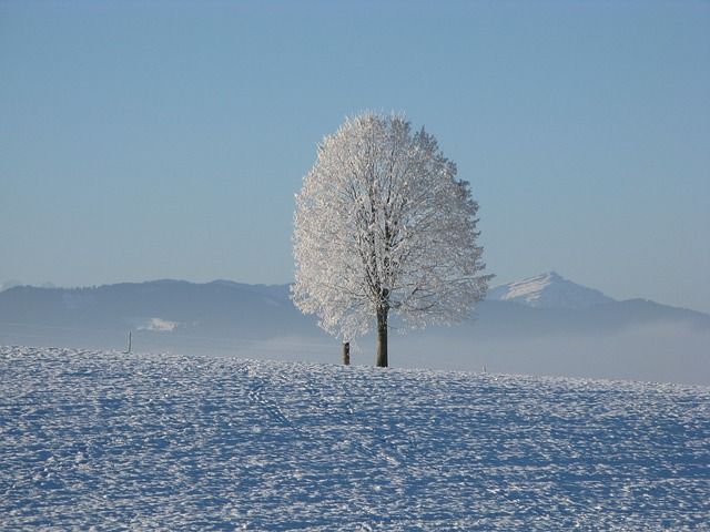 AGA_冬の画像