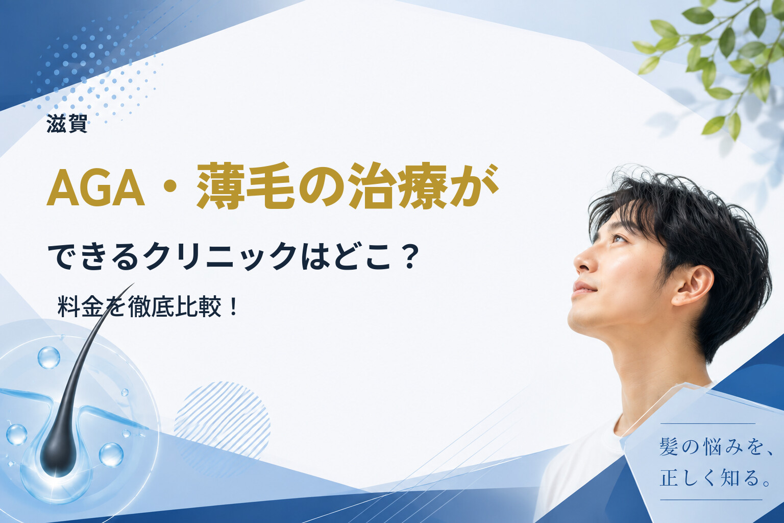 【滋賀】AGA・薄毛の治療ができるクリニックはどこ？料金を徹底比較！