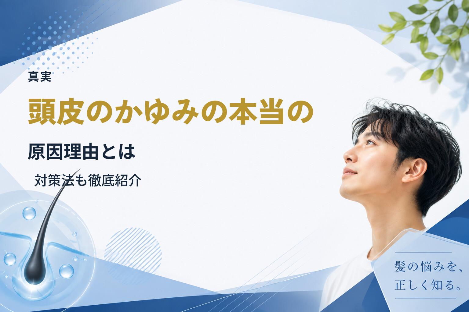 【真実】頭皮のかゆみの本当の原因理由とは｜対策法も徹底紹介