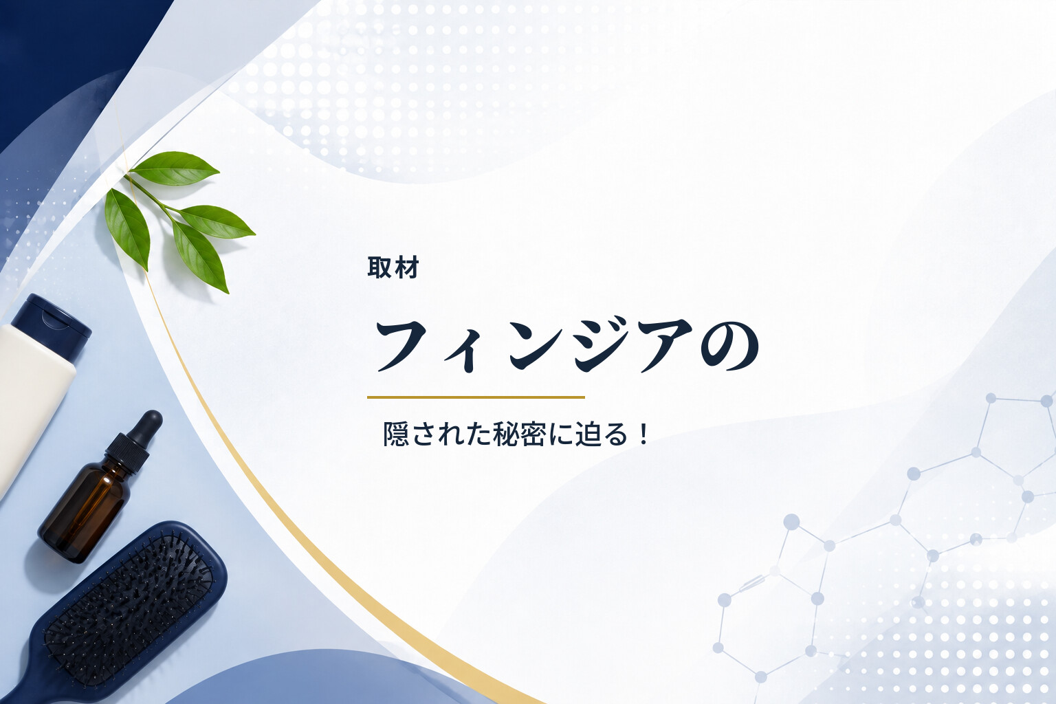 【取材】フィンジアの隠された秘密に迫る！