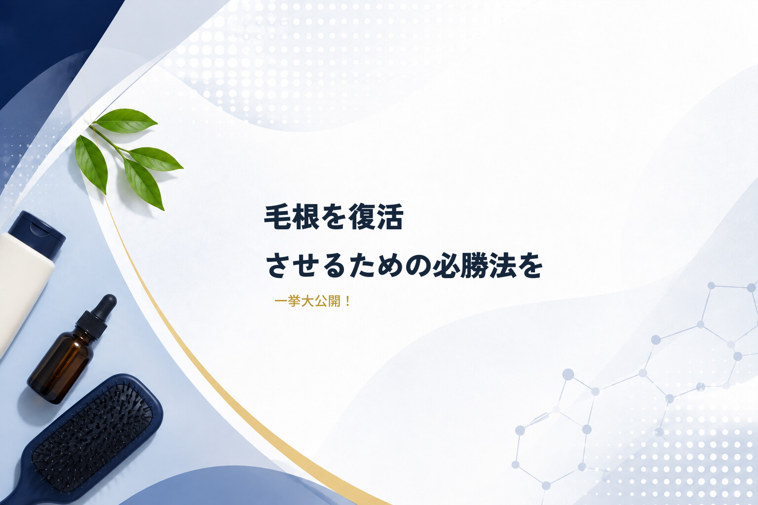 毛根を復活させるための必勝法を一挙大公開！