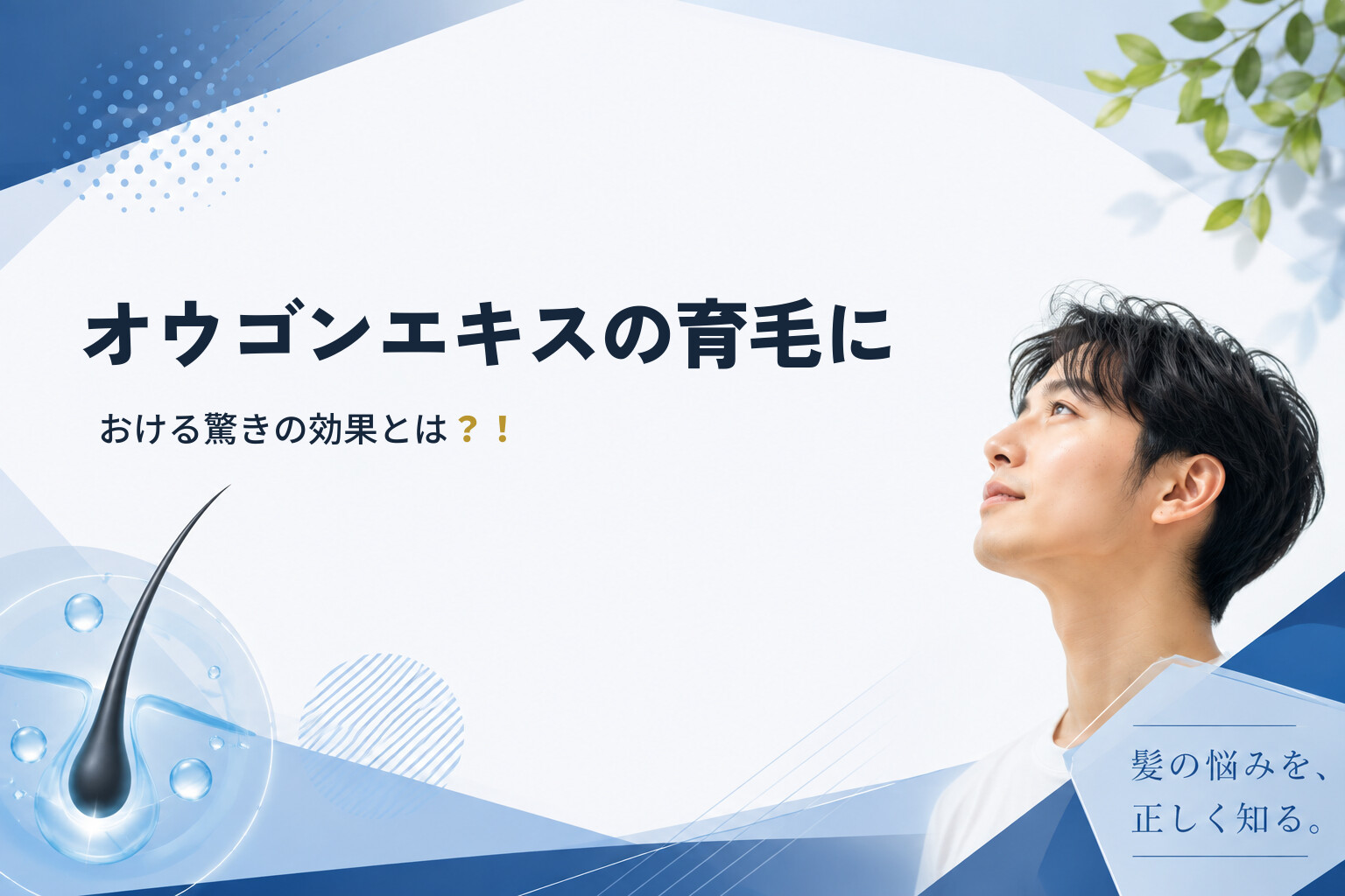 オウゴンエキスの育毛における驚きの効果とは？！