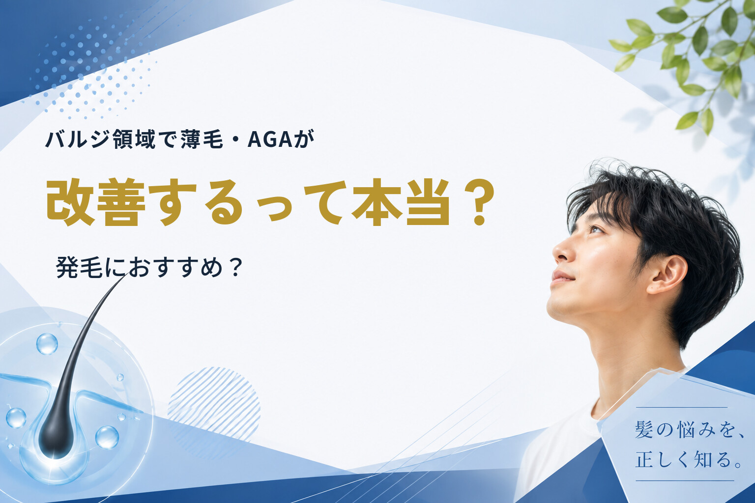 バルジ領域で薄毛・AGAが改善するって本当？発毛におすすめ？