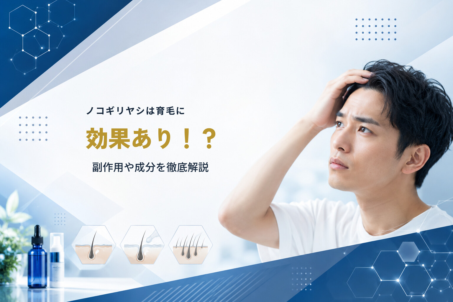 ノコギリヤシは育毛に効果あり！？副作用や成分を徹底解説