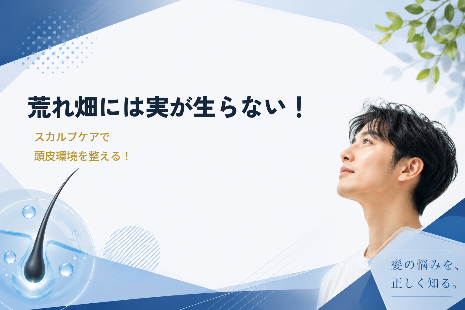 荒れ畑には実が生らない！スカルプケアで頭皮環境を整える！