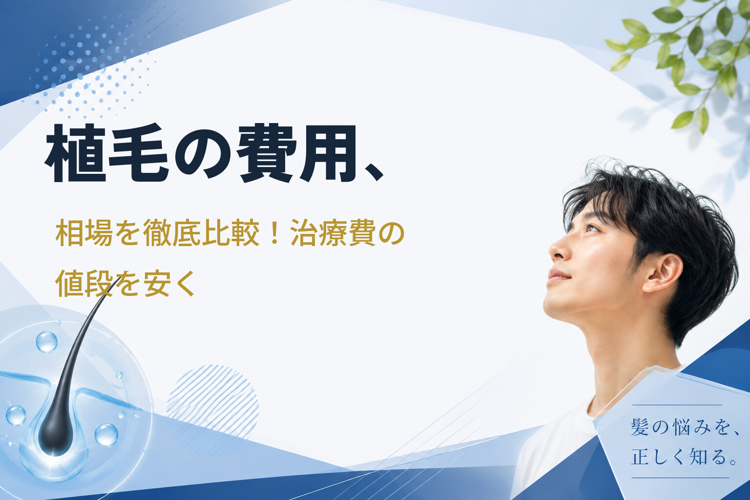 植毛の費用、相場を徹底比較！治療費の値段を安く
