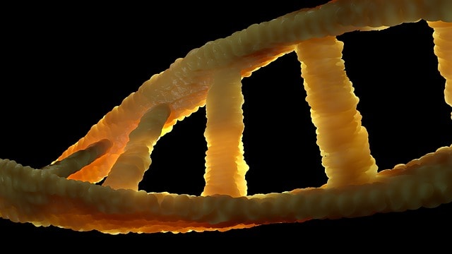 AGA・薄毛遺伝子検査の各種方法について徹底比較してみました